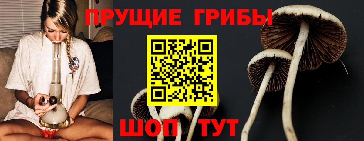 Губаха  Псилоцибиновые грибы Psilocybe  Галлюциногенные грибы прущие грибы  где купить наркотик  Вход с VPN 